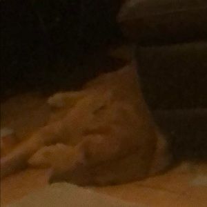 Meet your Posher, Kellie